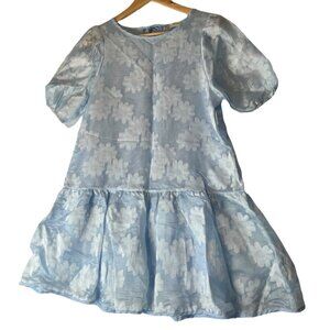 Pink Ripple Womens S Swing Dress Puff Sleeve Drop Waist Blue Floral Garden Party